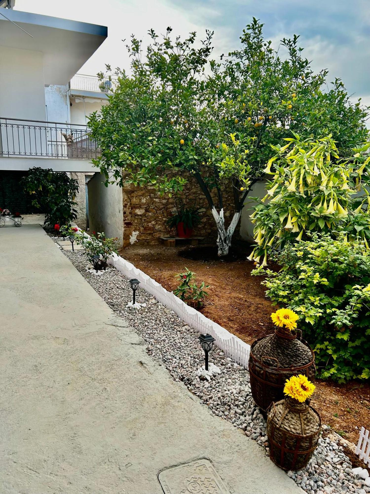 Flower House In Koropi-Near Airport 外观 照片